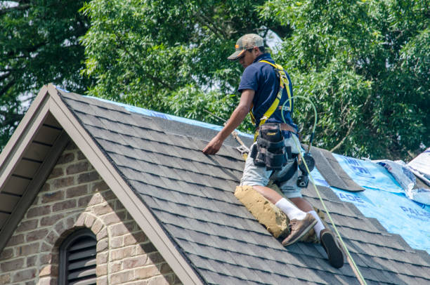 Best Residential Roofing Contractor  in Oak Harbor, OH